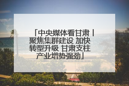 中央媒体看甘肃丨聚焦集群建设 加快转型升级 甘肃支柱产业增势强劲