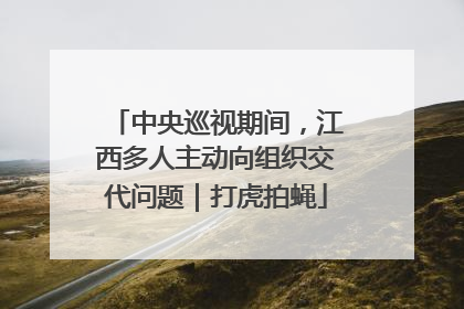 中央巡视期间,江西多人主动向组织交代问题|打虎拍蝇