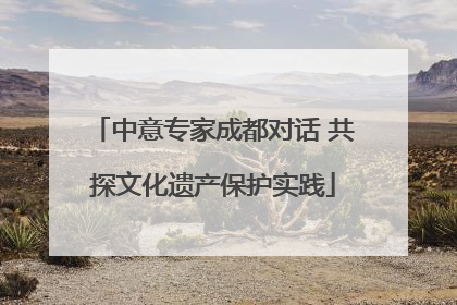 中意专家成都对话 共探文化遗产保护实践