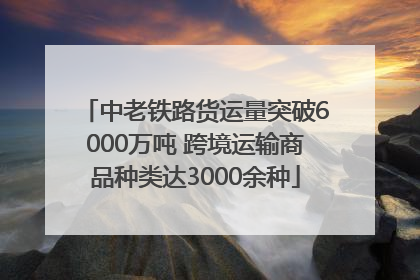中老铁路货运量突破6000万吨 跨境运输商品种类达3000余种