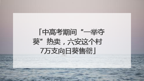 中高考期间“一举夺葵”热卖，六安这个村7万支向日葵售罄