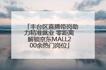 丰台区直播带岗助力精准就业 零距离解锁京东MALL200余热门岗位