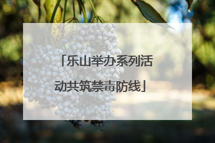 乐山举办系列活动共筑禁毒防线