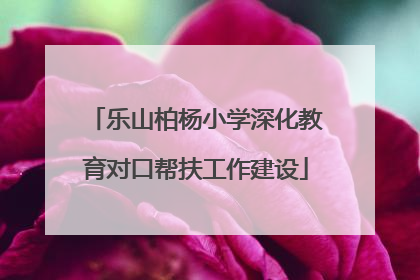 乐山柏杨小学深化教育对口帮扶工作建设