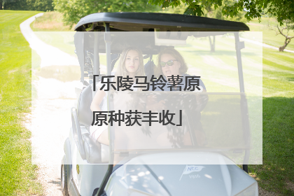 乐陵马铃薯原原种获丰收