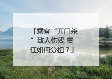 乘客“开门杀”致人伤残 责任如何分担？