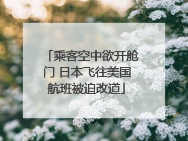 乘客空中欲开舱门 日本飞往美国航班被迫改道
