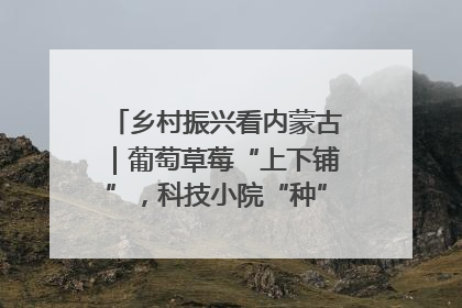 乡村振兴看内蒙古｜葡萄草莓“上下铺”，科技小院“种”出三倍效益