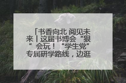 书香向北 阅见未来丨这届书博会“狠”会玩！“学生党”专属研学路线，边逛边学还能薅羊毛！