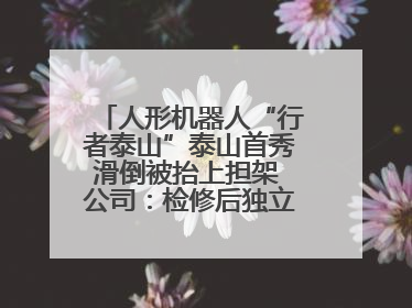 人形机器人“行者泰山”泰山首秀滑倒被抬上担架 公司：检修后独立下山 测试就是为暴露问题