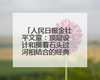 人民日报金社平文章：顶层设计和摸着石头过河相结合的经典范本