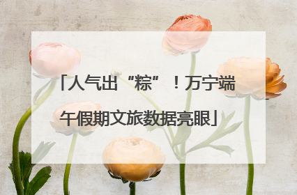 人气出“粽”！万宁端午假期文旅数据亮眼