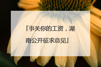 事关你的工资，湖南公开征求意见