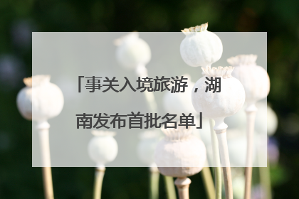 事关入境旅游，湖南发布首批名单