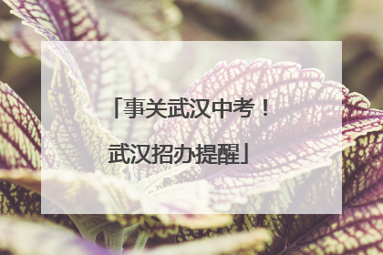 事关武汉中考！武汉招办提醒