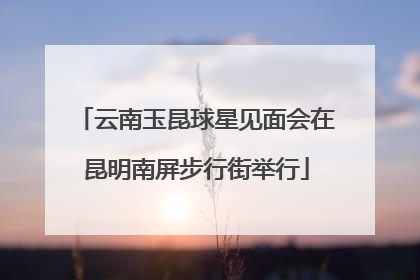 云南玉昆球星见面会在昆明南屏步行街举行