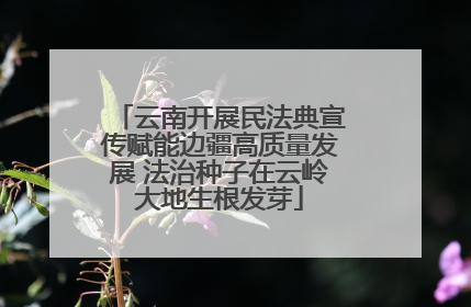 云南开展民法典宣传赋能边疆高质量发展 法治种子在云岭大地生根发芽
