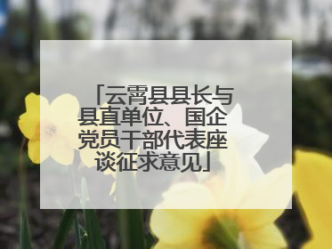 云霄县县长与县直单位、国企党员干部代表座谈征求意见