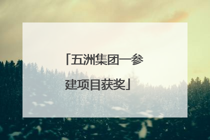 五洲集团一参建项目获奖
