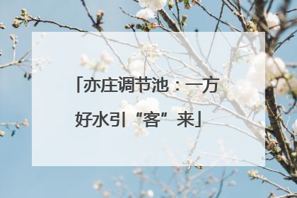亦庄调节池：一方好水引“客”来
