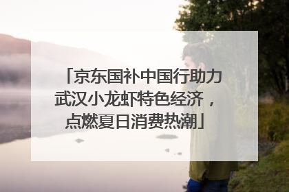 京东国补中国行助力武汉小龙虾特色经济，点燃夏日消费热潮