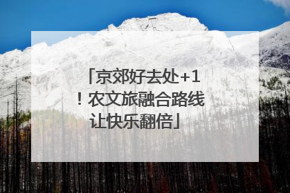 京郊好去处+1！农文旅融合路线让快乐翻倍