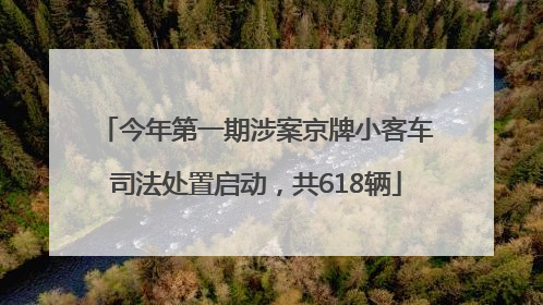 今年第一期涉案京牌小客车司法处置启动，共618辆