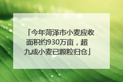 今年菏泽市小麦应收面积约930万亩，超九成小麦已颗粒归仓