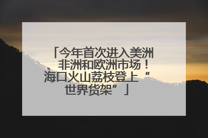 今年首次进入美洲、非洲和欧洲市场！海口火山荔枝登上“世界货架”