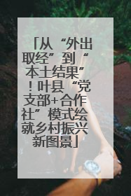 从“外出取经”到“本土结果”！叶县“党支部+合作社”模式绘就乡村振兴新图景