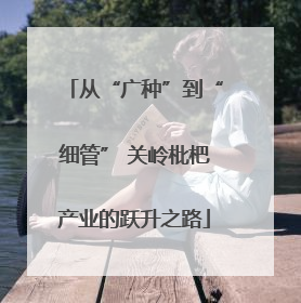 从“广种”到“细管” 关岭枇杷产业的跃升之路
