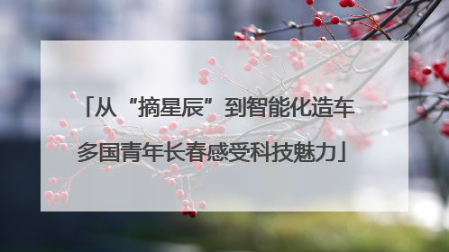 从“摘星辰”到智能化造车 多国青年长春感受科技魅力