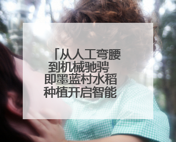 从人工弯腰到机械驰骋 即墨蓝村水稻种植开启智能农耕新模式