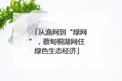从渔网到“绿网”，蔡甸桐湖网住绿色生态经济