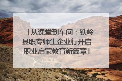 从课堂到车间：铁岭县职专师生企业行开启职业启蒙教育新篇章