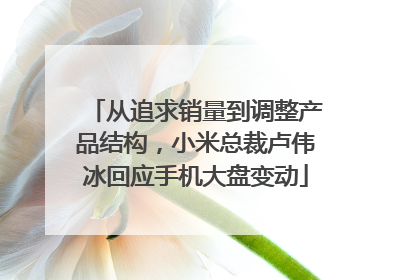 从追求销量到调整产品结构，小米总裁卢伟冰回应手机大盘变动