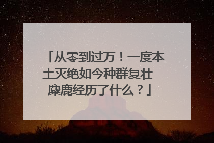 从零到过万！一度本土灭绝如今种群复壮 麋鹿经历了什么？