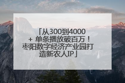 从300到4000+ 单条播放破百万！枣阳数字经济产业园打造新农人IP