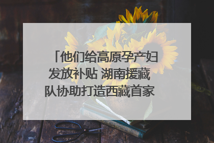 他们给高原孕产妇发放补贴 湖南援藏队协助打造西藏首家高原产儿协同中心