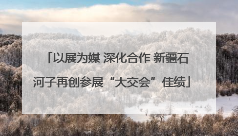 以展为媒 深化合作 新疆石河子再创参展“大交会”佳绩