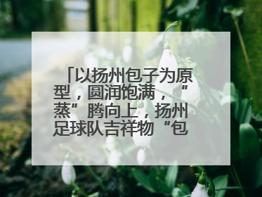 以扬州包子为原型，圆润饱满，“蒸”腾向上，扬州足球队吉祥物“包赢”亮相即售罄