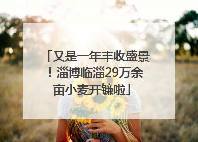 又是一年丰收盛景！淄博临淄29万余亩小麦开镰啦