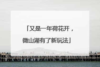 又是一年荷花开，微山湖有了新玩法