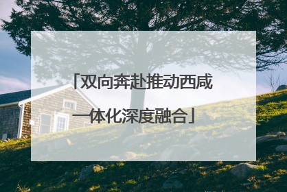 双向奔赴推动西咸一体化深度融合