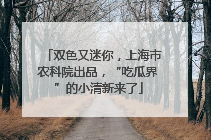 双色又迷你，上海市农科院出品，“吃瓜界”的小清新来了