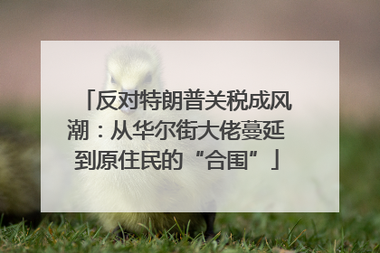 反对特朗普关税成风潮：从华尔街大佬蔓延到原住民的“合围”