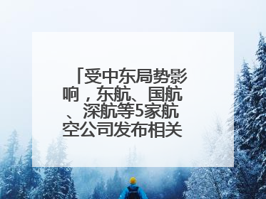 受中东局势影响，东航、国航、深航等5家航空公司发布相关航线退改政策