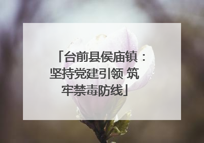台前县侯庙镇：坚持党建引领 筑牢禁毒防线