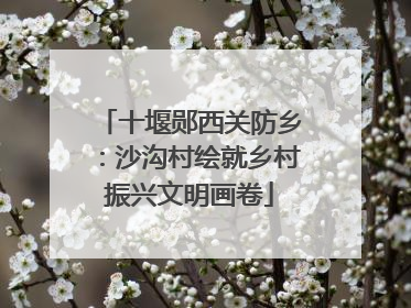 十堰郧西关防乡：沙沟村绘就乡村振兴文明画卷