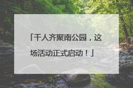 千人齐聚南公园，这场活动正式启动！